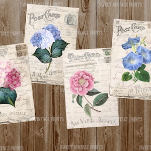 cartes postales de fleurs vintage, éphémères de fleurs à l'ancienne, journal indésirable rose minable, carte postale d'hortensia, fleurs vintage imprimables, papier digi