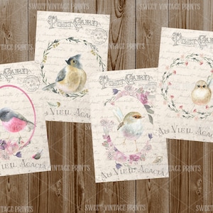 Uccelli, cartoline, piume, Pasqua, Vintage, diario spazzatura, effimeri, digitale, download istantaneo, francese, squallido, primavera, documenti, stampabile,