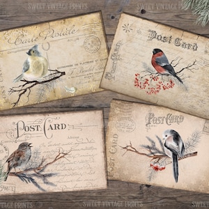 Winter Vögel Postkarten, Vintage Weihnachtspostkarte, Weihnachten Junk Journal, Weihnachts Ephemera, Vogelkarten, digital, download, printable,
