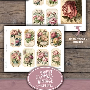 May include: A set of 10 vintage printable ephemera tags featuring pink peonies with green leaves. The tags are rectangular with rounded corners and have a cream background. The text "Vintage Peonies Tags" and "Page 4" are visible on the page. A bonus postcard with a single pink peony is included.