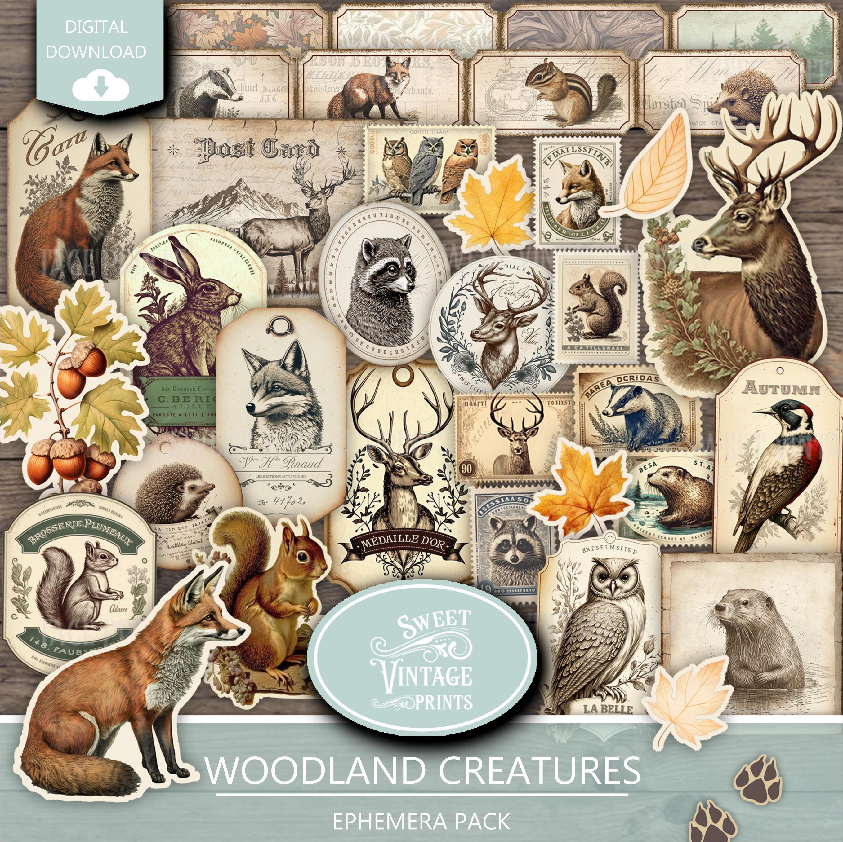 Junk Journal Ephemera Woodland Creatures, Autumn Forest Animals ...