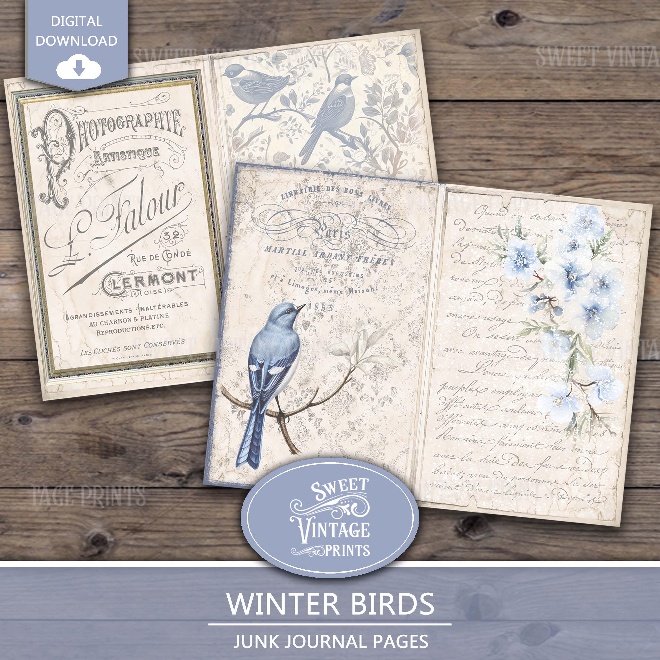 Winter Birds Junk Journal Pages | Blue Winter Printables | Vintage ...