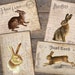 Rabbits Postcards, Vintage Bunny Postcard, Easter Junk Journal, Easter ...
