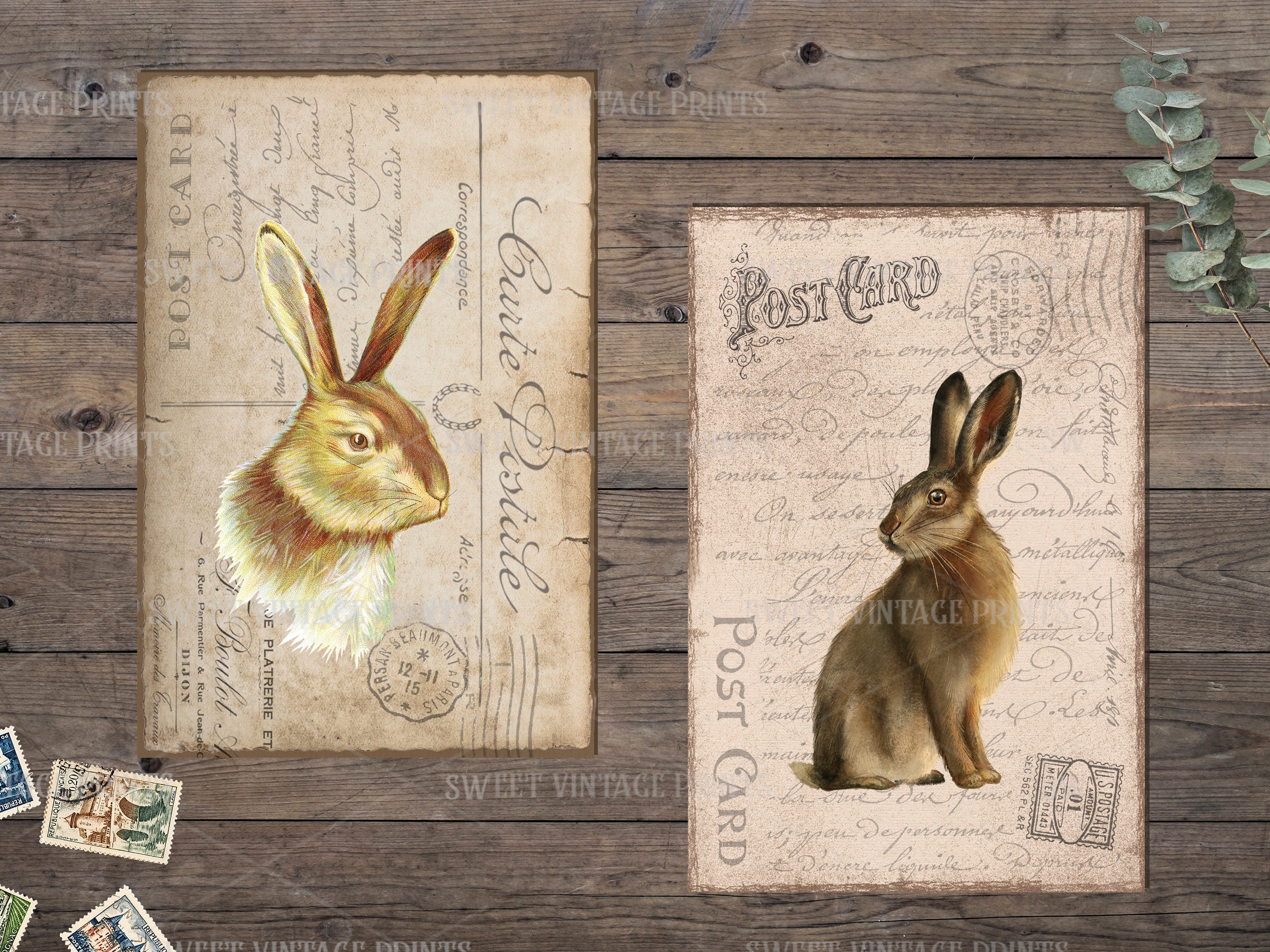 Rabbits Postcards, Vintage Bunny Postcard, Easter Junk Journal, Easter ...