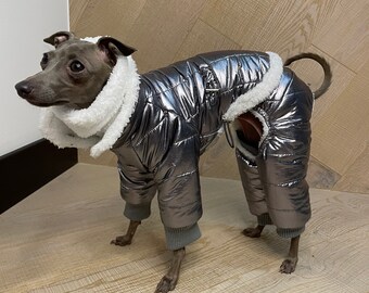 Winter coat or overall for Italian greyhound (iggy)