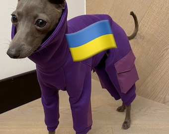 Italian Greyhounds donation ( costume not available)