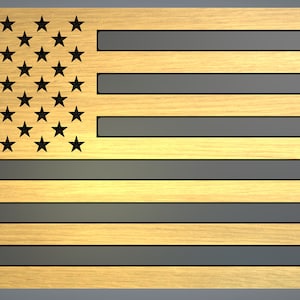 Bandera estándar de 50 estrellas SVG