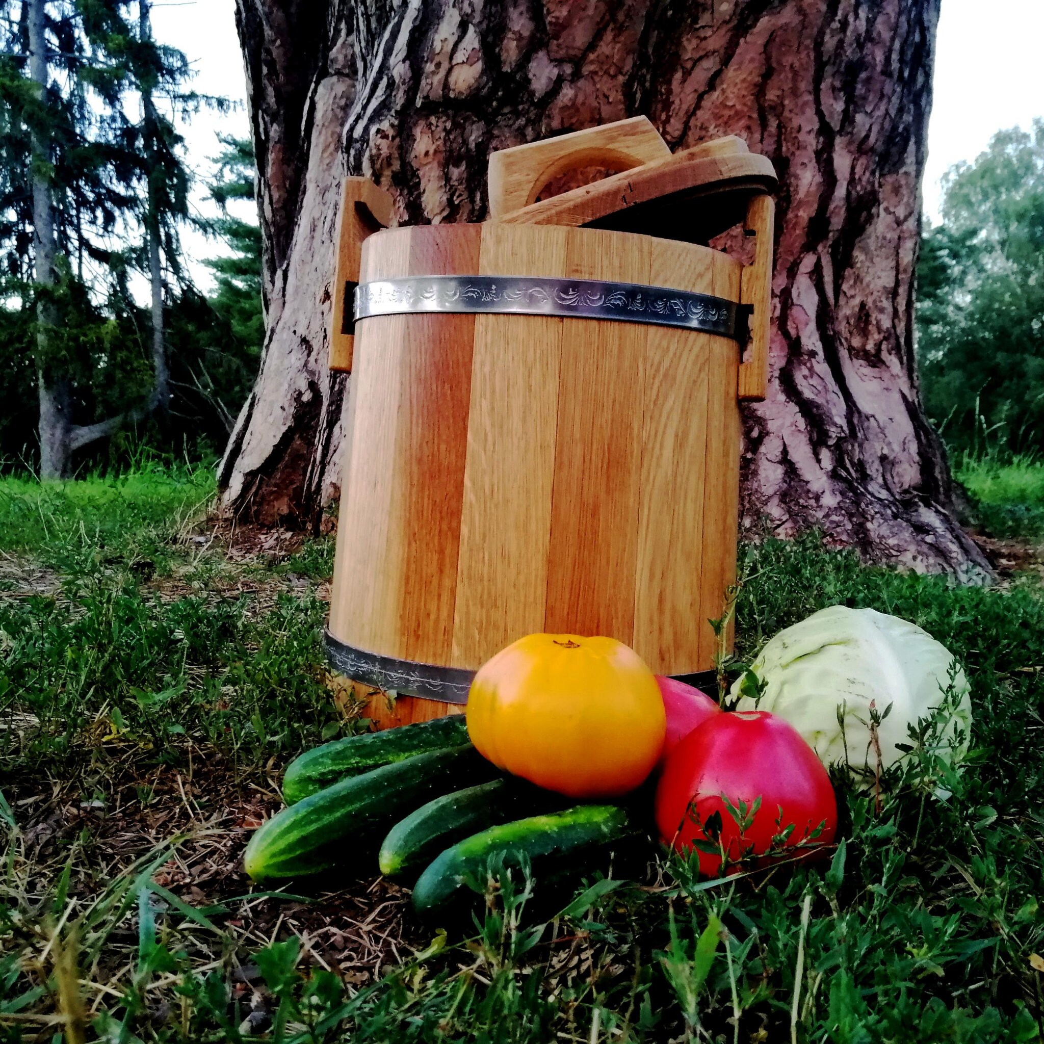 Wooden Oak Pickle Barrel 5L Fermentation Crock Kombucha Etsy Australia