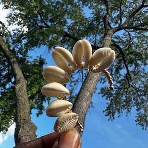 May include: A gold-toned wire ear cuff with a row of white cowrie shells. The cuff is curved and has a small ball at the end.