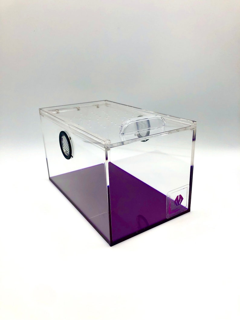 SALE! purplebox 7x4x4 NARROW - Top opening acrylic pet tarantula isopod invertebrate spider enclosure 