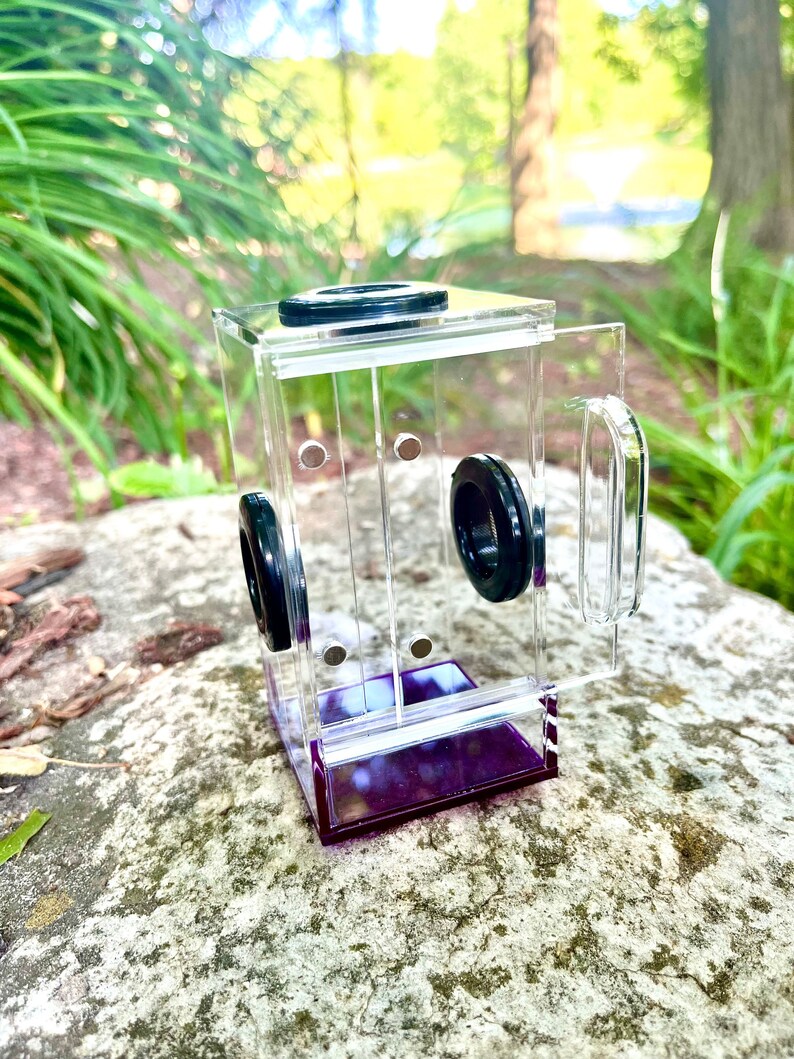 purplebox 2x2x4 - Front opening acrylic pet jumping spider spiderling enclosure 