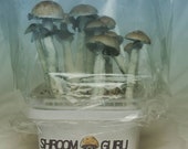 Mushroom Grow Kit - Simple, DIY Mushroom Kits - Guaranteed to Grow or Your Money Back. Text any questions to 404-487-8331.