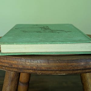 Pu&ograve; includere: Un libro vintage con copertina verde sbiadita &egrave; appoggiato su uno sgabello di legno. La copertina del libro presenta una semplice illustrazione in una tonalit&agrave; pi&ugrave; scura di verde. Le pagine sono ingiallite, il libro &egrave; in orizzontale.