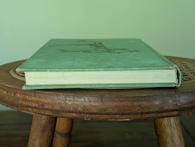 Pu&ograve; includere: Un libro vintage con copertina verde sbiadita &egrave; appoggiato su uno sgabello di legno. La copertina del libro presenta una semplice illustrazione in una tonalit&agrave; pi&ugrave; scura di verde. Le pagine sono ingiallite, il libro &egrave; in orizzontale.