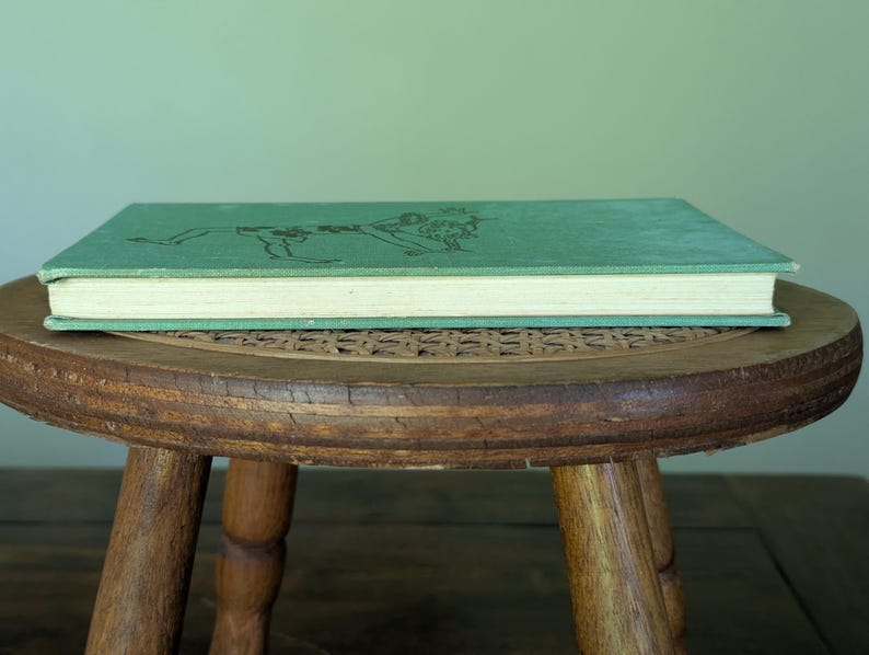 Pu&ograve; includere: Un libro vintage con copertina turchese e illustrazione nera &egrave; appoggiato su uno sgabello rotondo in legno. Le pagine del libro sono color crema e lo sgabello ha un piano intrecciato e tre gambe in legno. Lo sfondo &egrave; di colore verde chiaro.