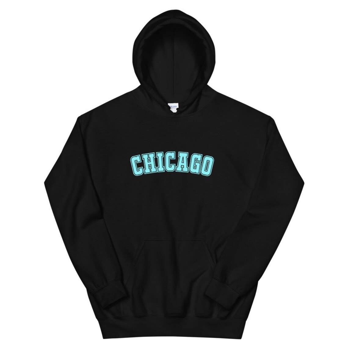 Chicago Unisex Hoodie Chicago Illinois Etsy