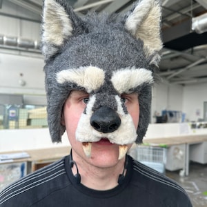May include: A person wearing a grey wolf costume with white fur accents. The costume has a realistic-looking snout with black nostrils and white teeth.