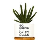 So Fresh So Green Funny Succulent Planter with Bamboo Drainage Tray Funny White Minimal Ceramic Pot Plant Lover Gift Gift For Her