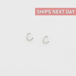 May include: A pair of small, silver hoop earrings. The hoops are simple and delicate, and they would make a great everyday accessory.