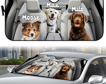 I Spent Months Researching Family Cars - Here's What I Learned