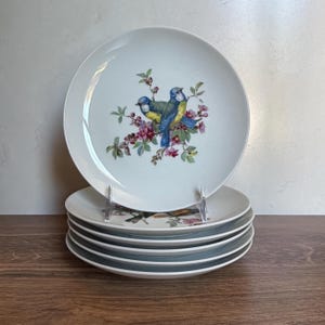 Kaiser Porcelain - Etsy