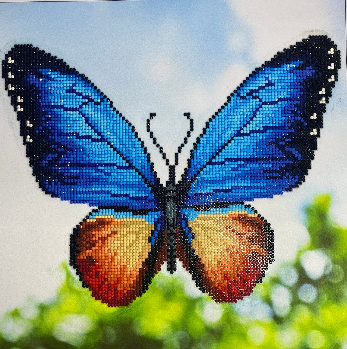 5D Butterfly by Diamond Dotz | Etsy