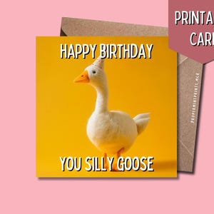 Printable Happy Birthday You Silly Goose | Funny Birthday Bday Pun Greeting Card | Instant Download