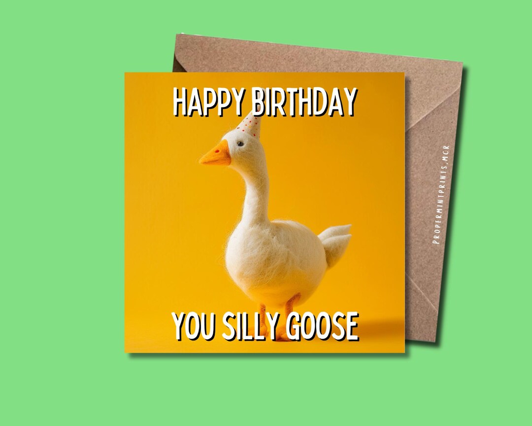 Happy Birthday You Silly Goose | Funny Birthday Bday Pun Greeting Card ...