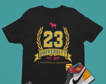 23 Uni Shirt To Match Air Jordan 1 Anthrazit - Retro 1 T-Shirt - Größtes aller Zeiten Shirt passend zu AJ1