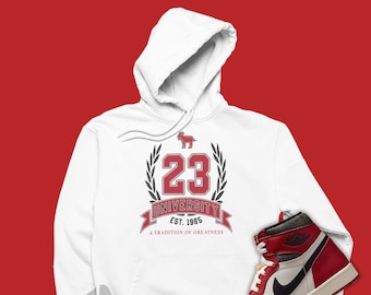 jordan 13 obsidian hoodie