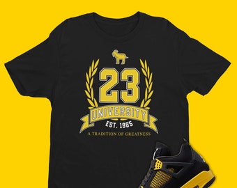 Air Jordan 4 Thunder Matching T-Shirt, Cute 23 UNIVERSITY Shirt, Sneaker Matching Tees, Retro Thunder 4s Shirt, Sneakerhead Graphic Tee