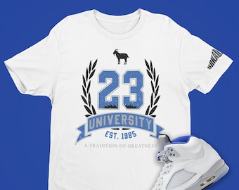 Air Jordan 5 Retro Stealth 2.0 23 Camiseta Universitaria, Camisa Hyper Royal, Camisa Retro 5