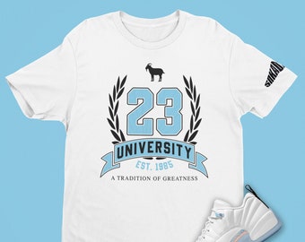 Air Jordan 12 Low Easter 23 University T-Shirt, Retro 12 Shirt, Easter Shirt
