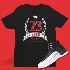 Playoff Jordan 12 - Etsy