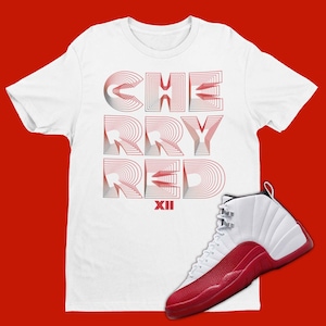Jordan 11 2025 cherry outfit