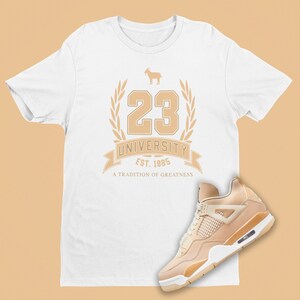 jordan shimmer 4 outfit