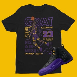Jordan retro outlet 12 outfit