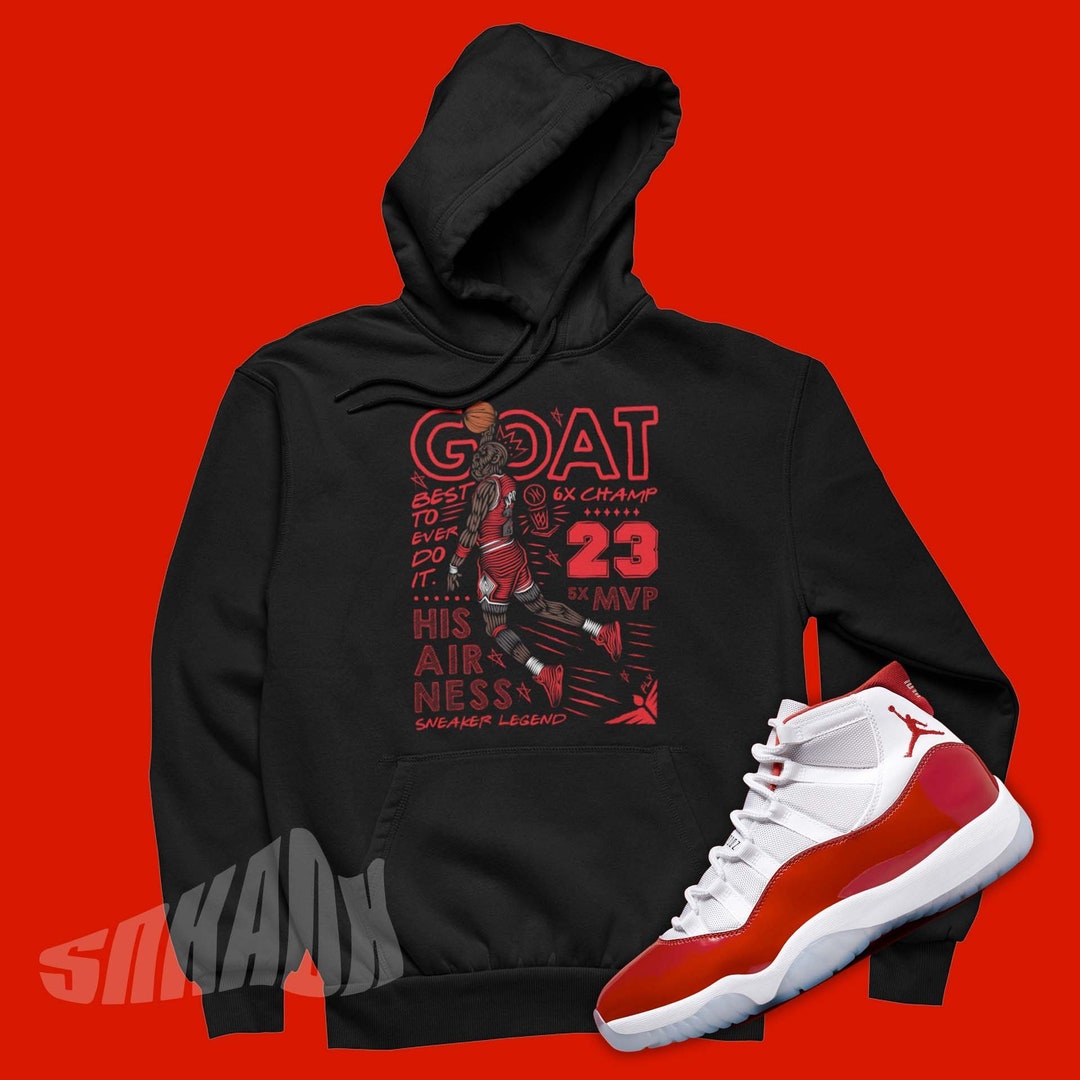 jordan retro 11 gfx hoodie