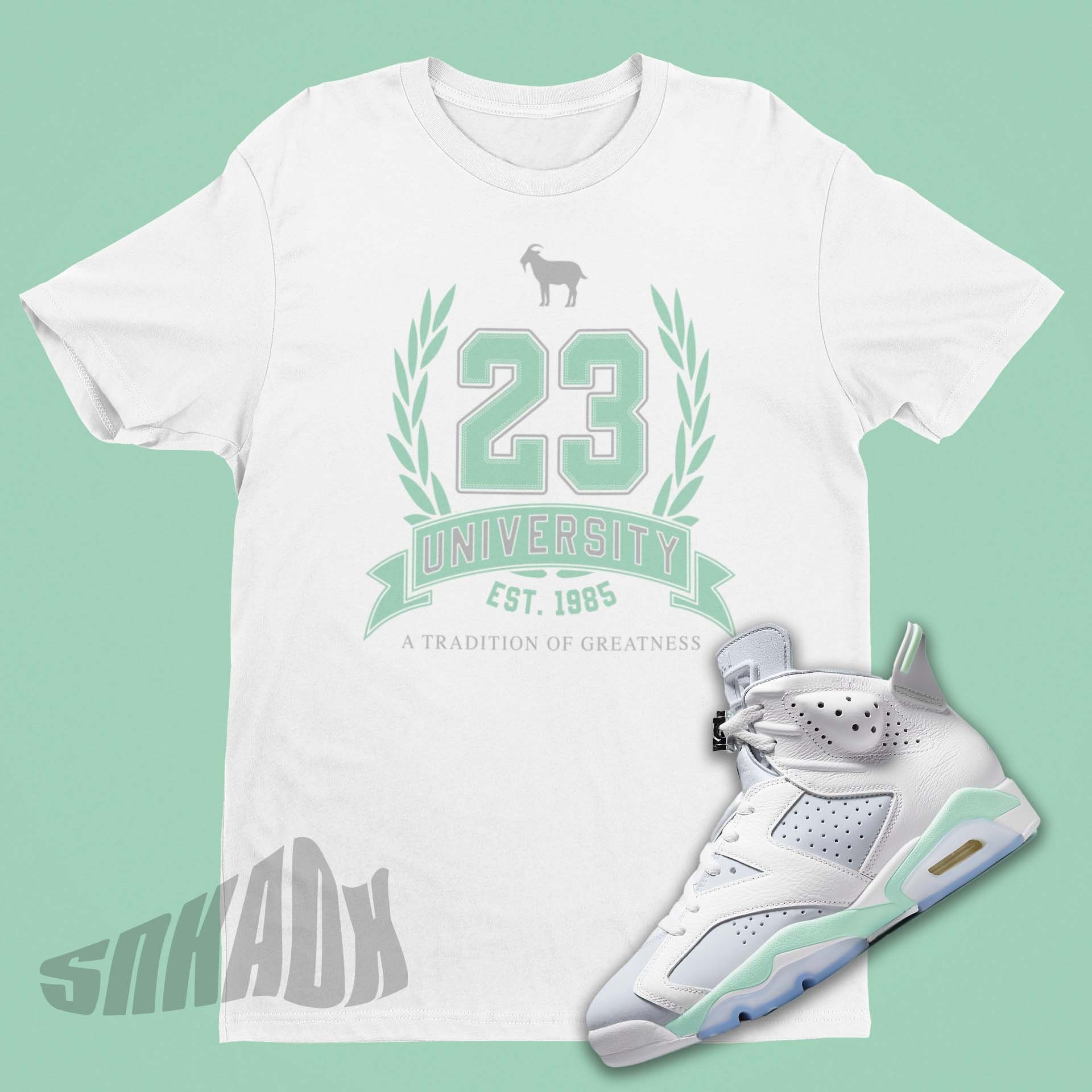 air jordan retro 6 shirts