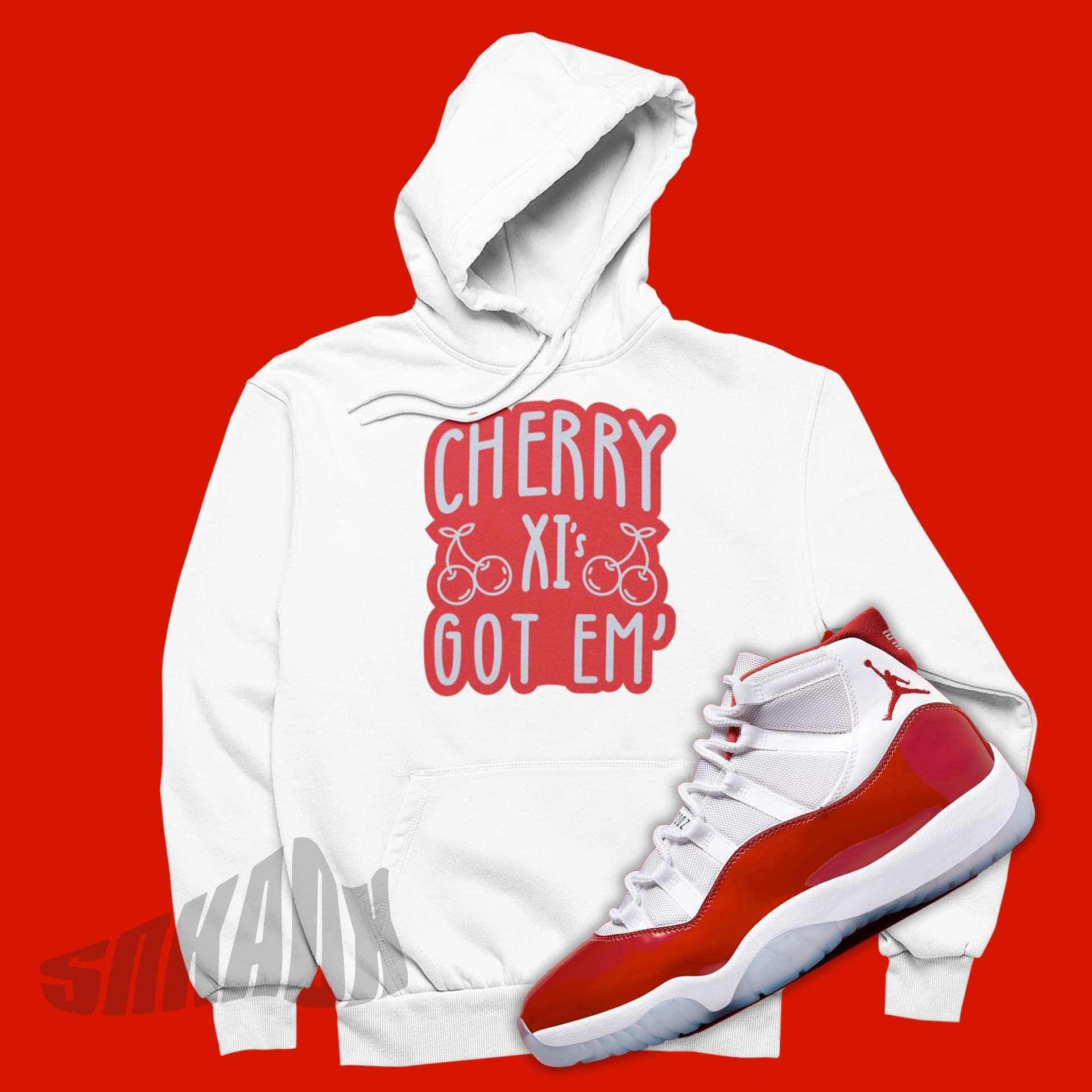 jordan retro 11 hoodie