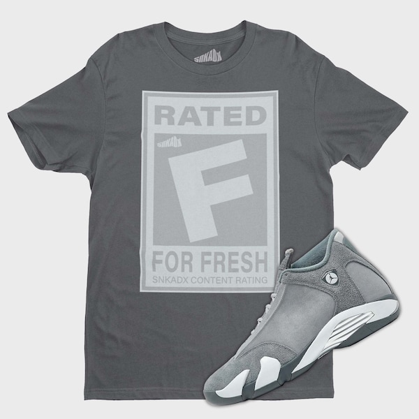 Rated F T-Shirt Matching Air Jordan 14 Flint Grey, Retro 14s Tee, Video Game Rating Tees, Sneaker Outfit, Sneakerheads