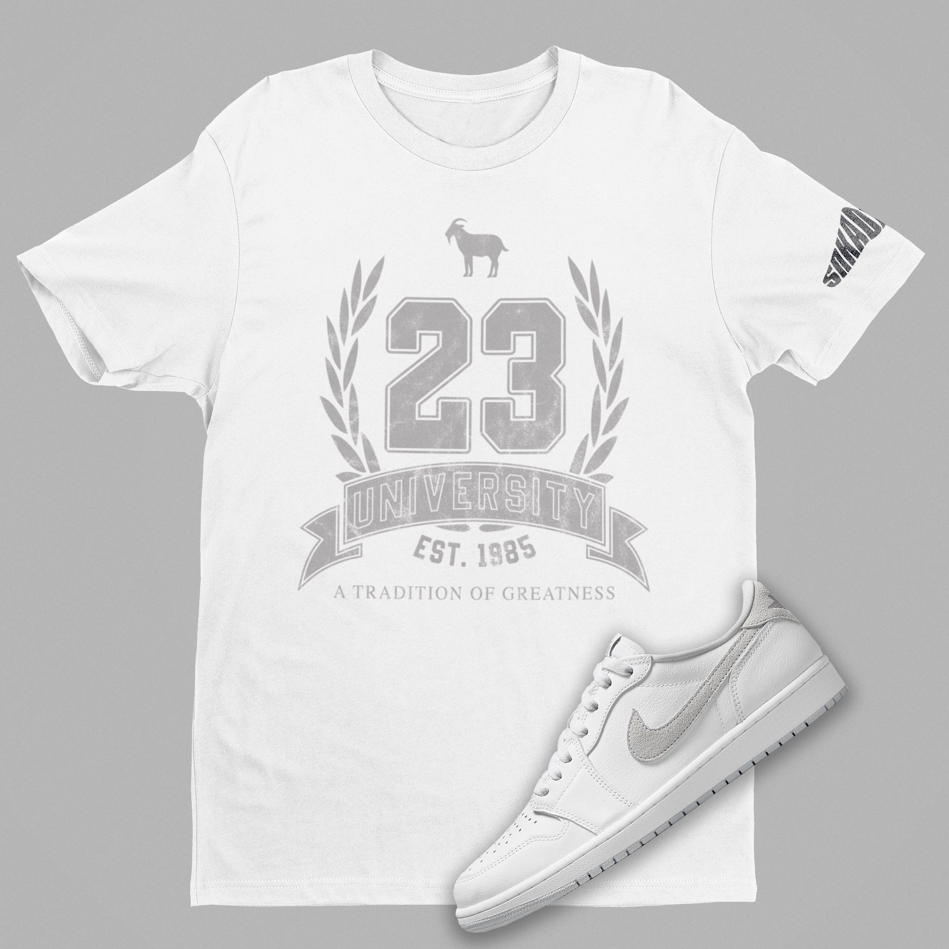 T shirt air jordan dior hot sale