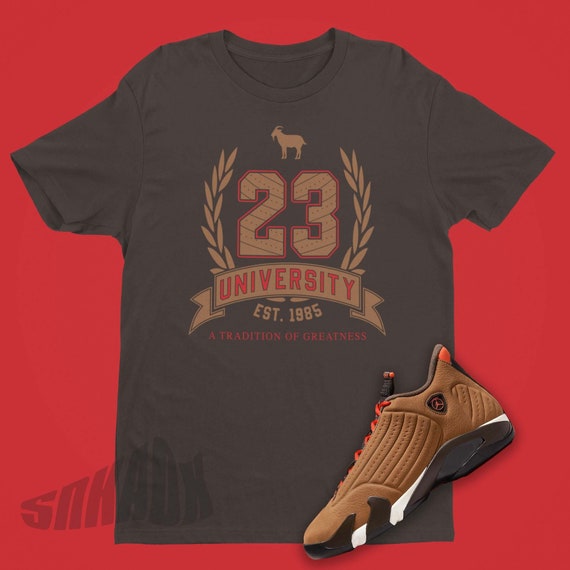 jordan 14 t shirt