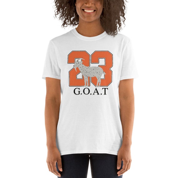 Goat shattered shop backboard