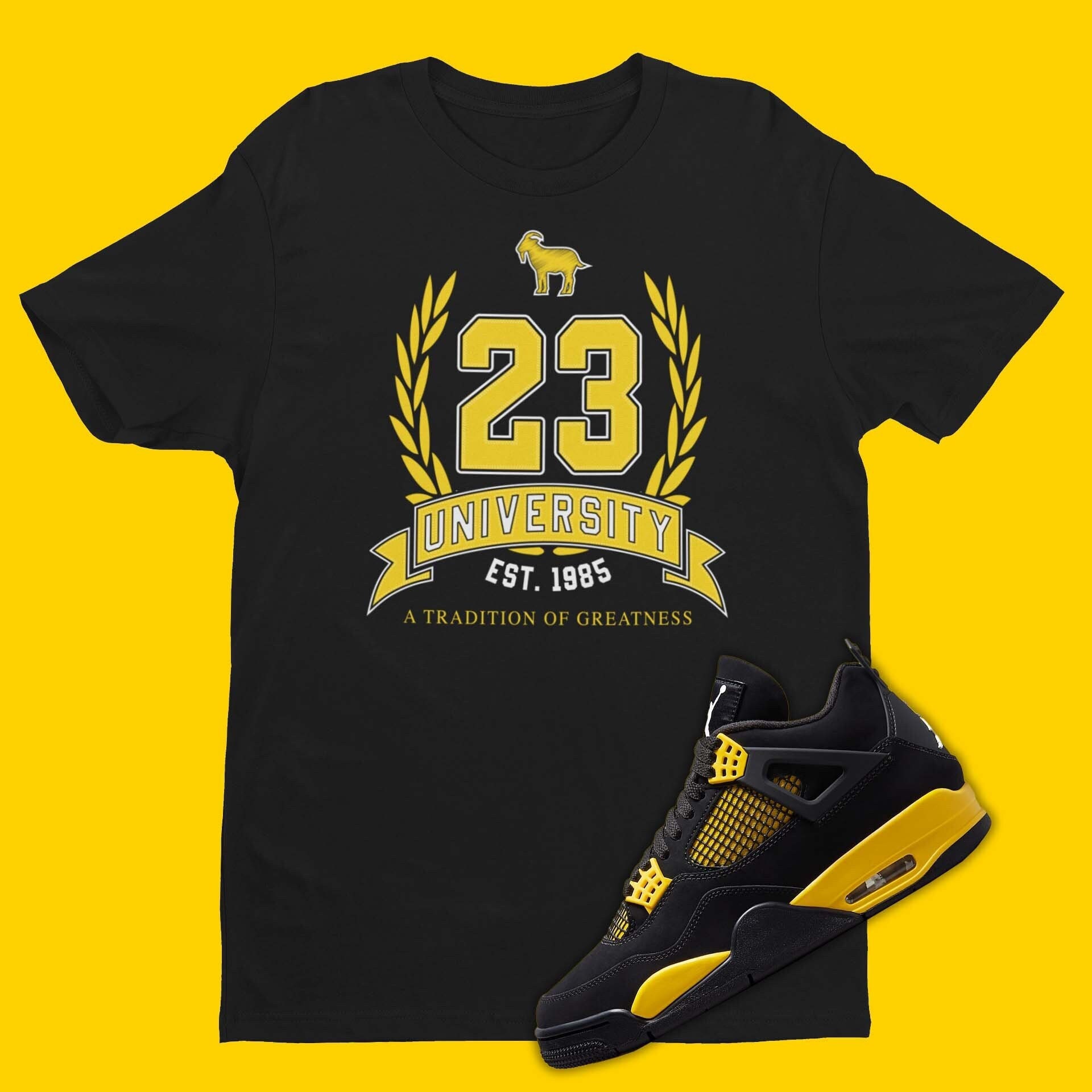 Air Jordan Thunder Matching T-shirt, Cute 23 UNIVERSITY Shirt