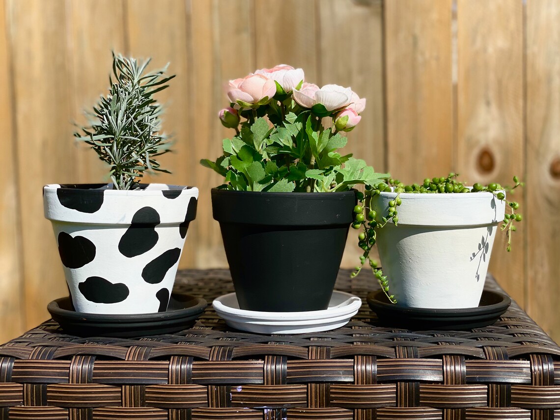 Indoor Black and White planters with drainage and saucers Etsy
