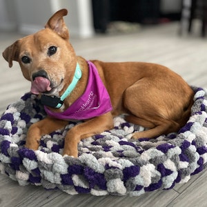 Dog bed
