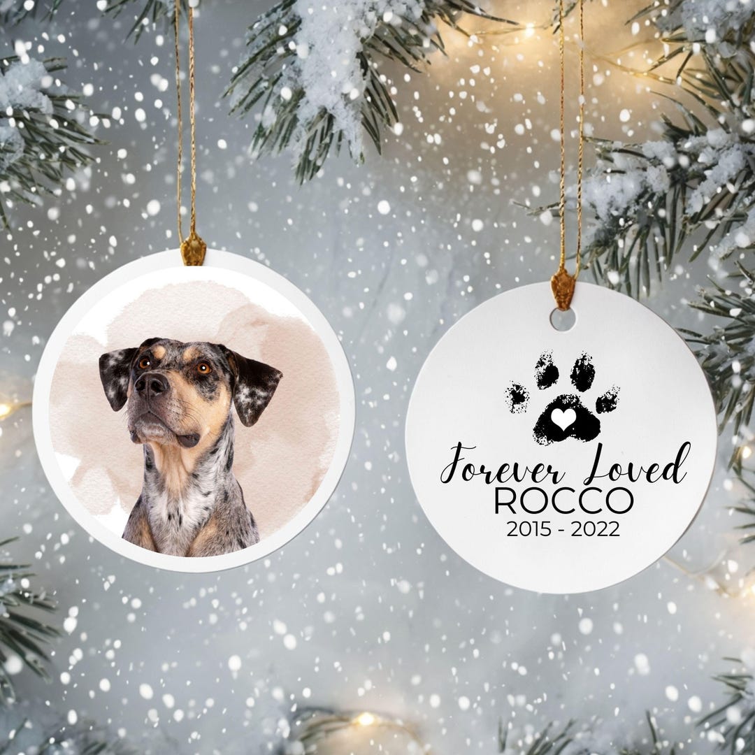 Personalized Pet Memorial Ornament Keepsake for Christmas Dog Memory ...