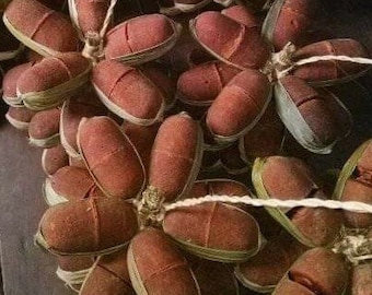 Super Premium Arenga Sugar 2 Batok (molded piece) (320-370g) - Handmade Traditional Brown Sugar, Sweetener from Banten