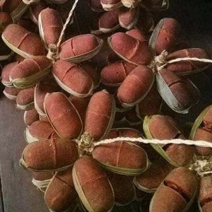 Super Premium Arenga Sugar 2 Batok (molded piece) (320-370g) - Handmade Traditional Brown Sugar, Sweetener from Banten